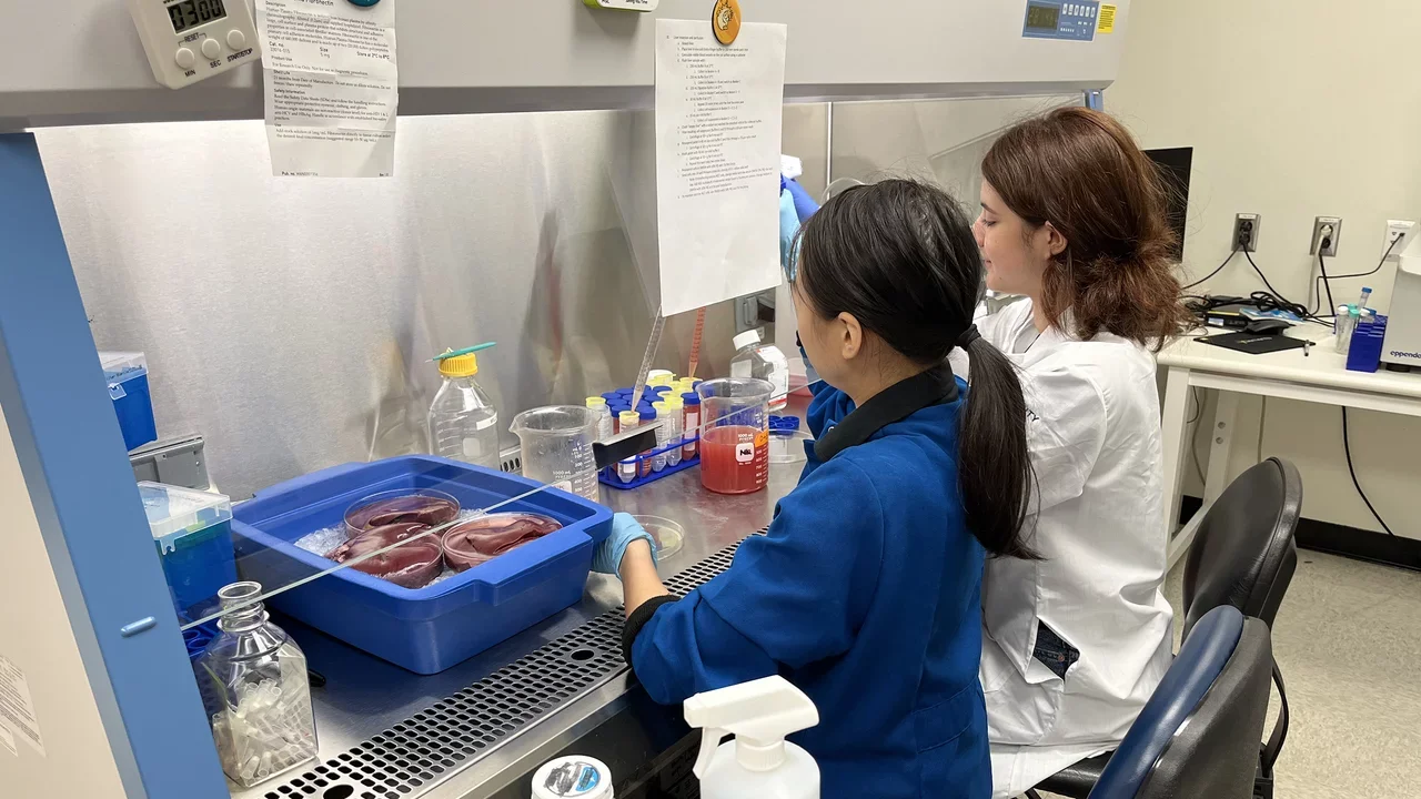 lab members pipetting
