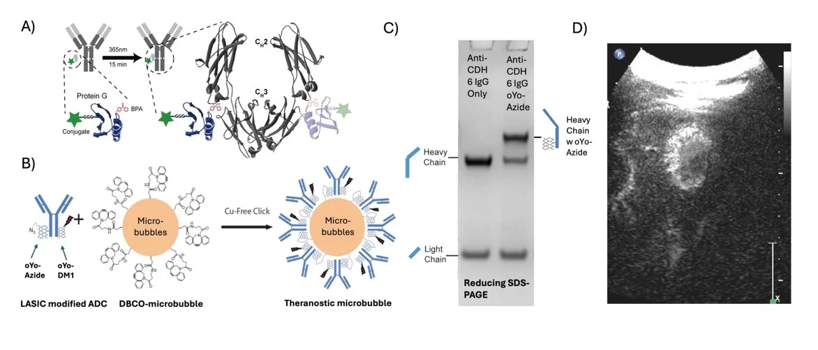 Development of novel theranostics 